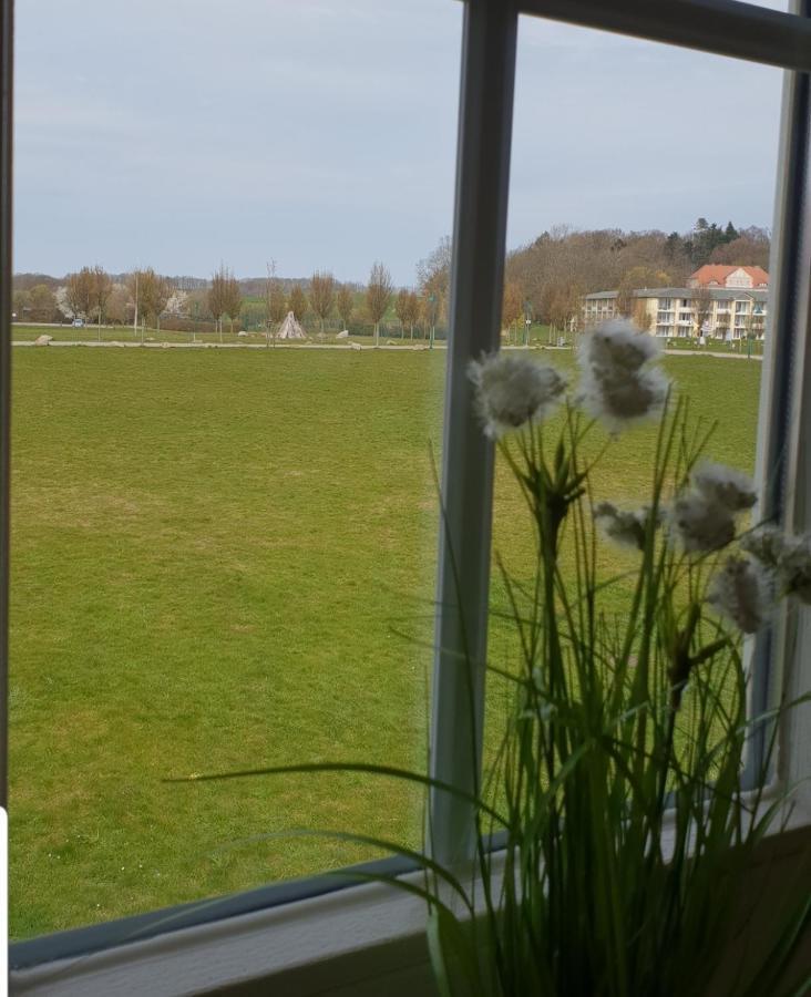 Ferienapartment Wiese&Meer auf Rügen Neddesitz Exterior foto